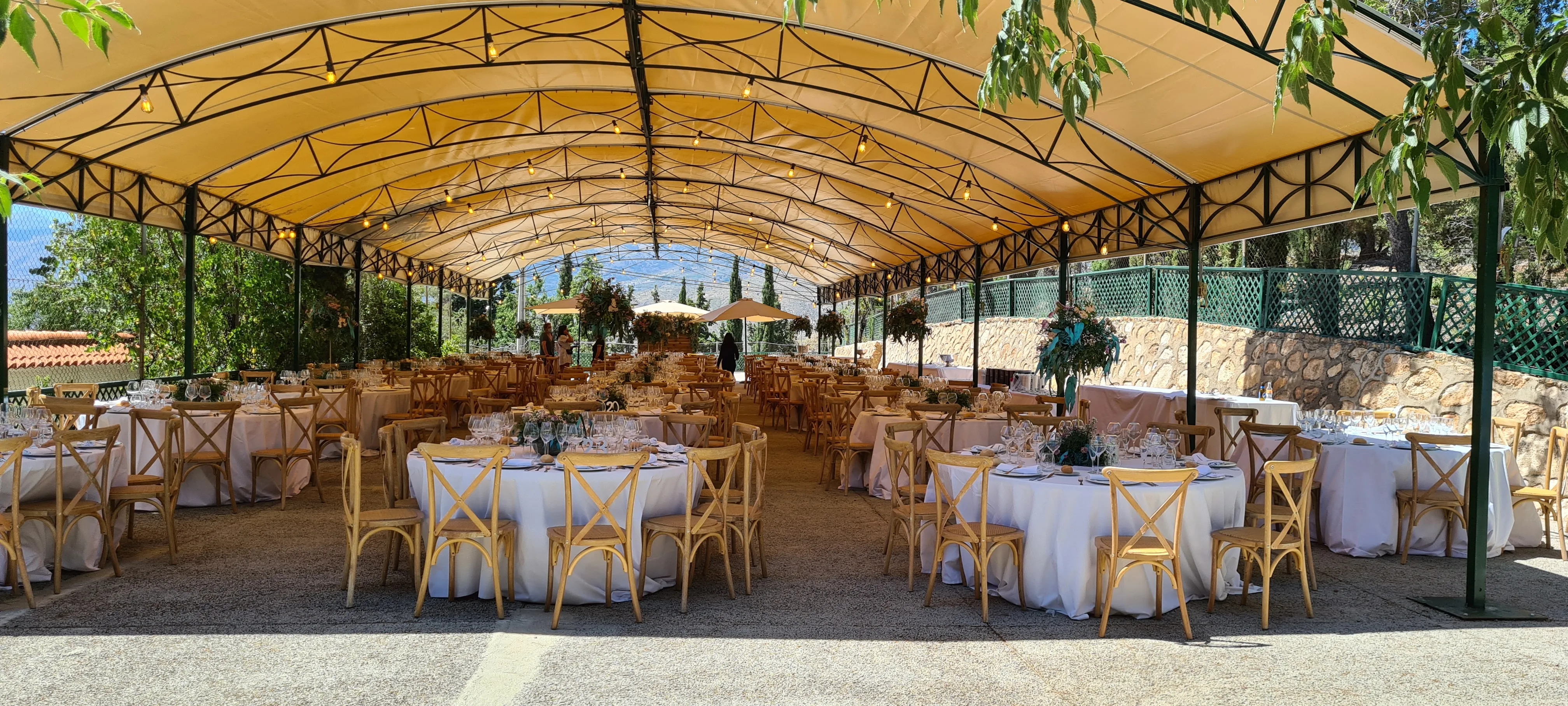 Carpa celebraciones