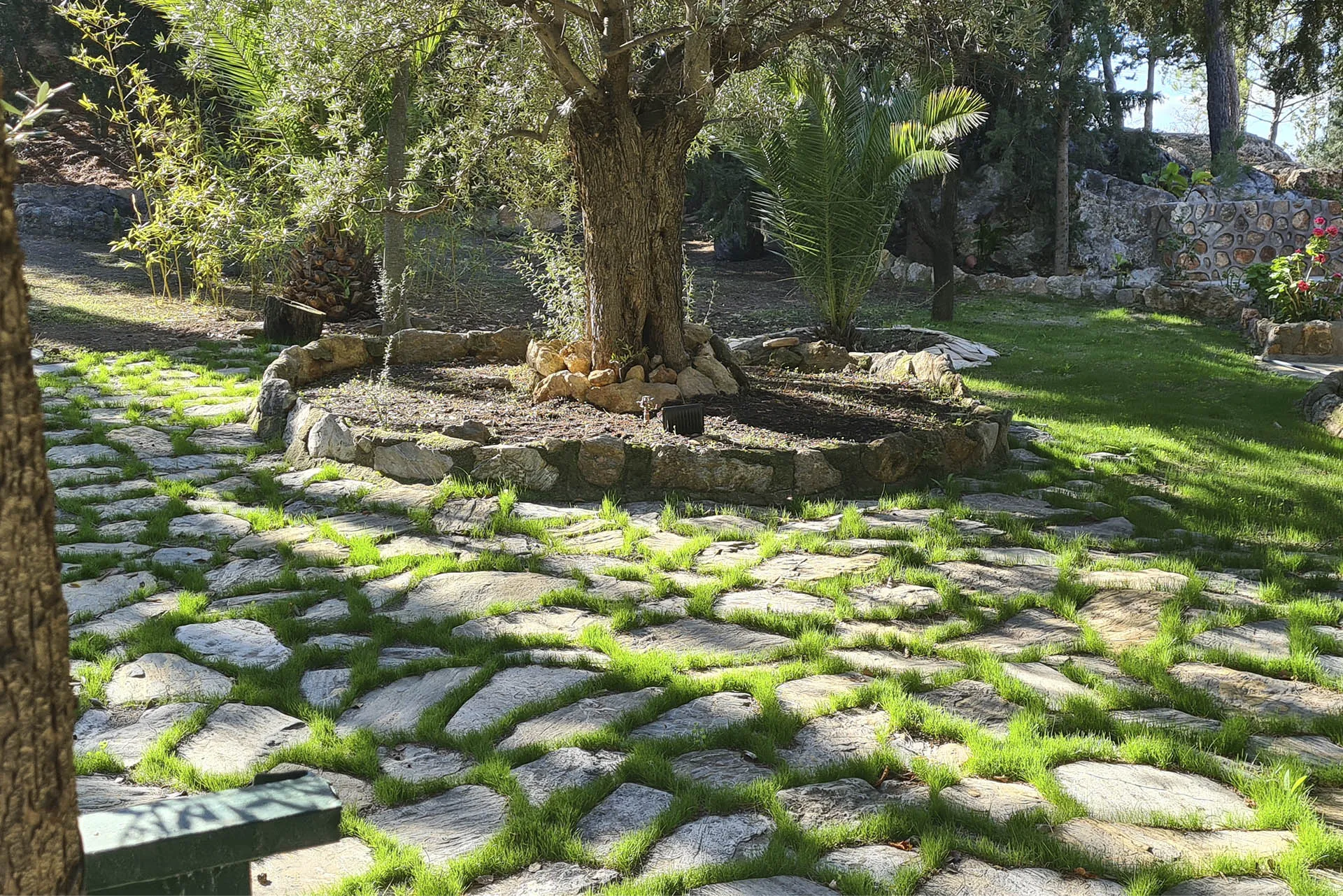 Jardín