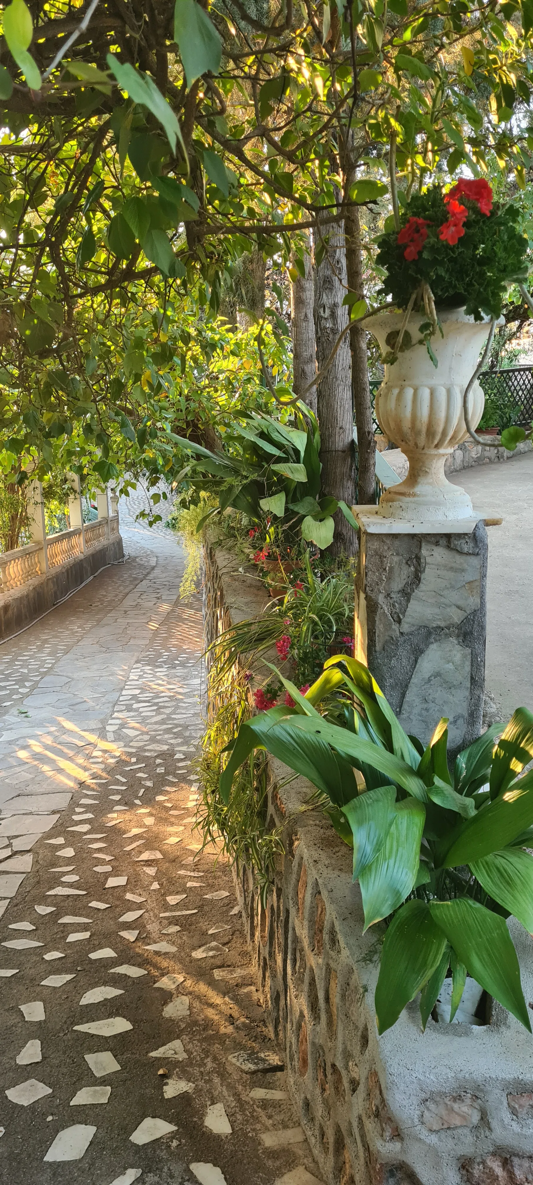 Jardines exteriores
