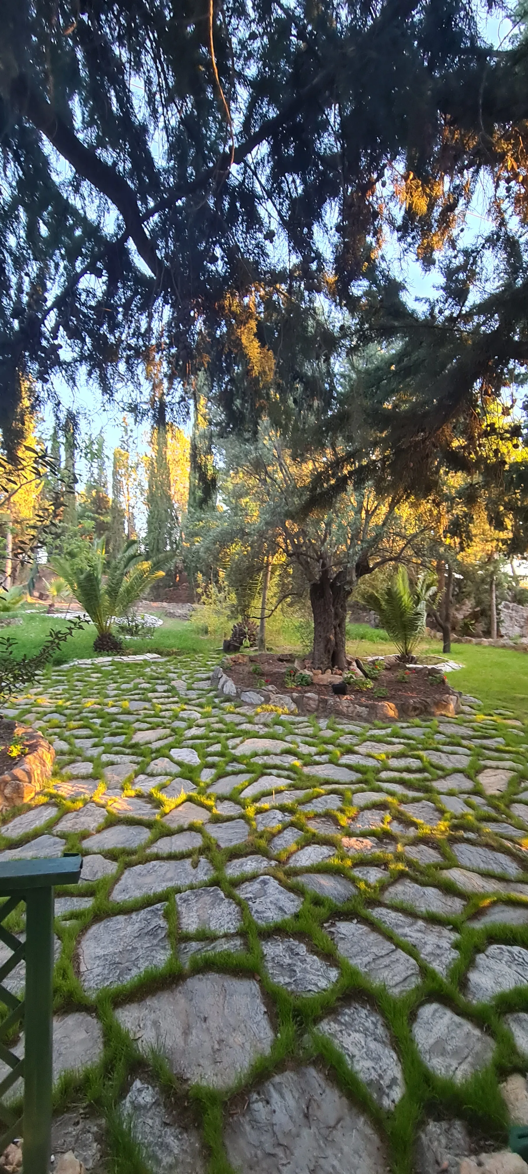 Jardines